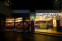 Cuppage Plaza (D9), Shop House #604191711